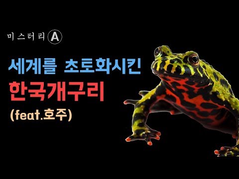 외국 생태계 초토화, 한국개구리 / 전 세계를 초토화 시킨 한국 개구리