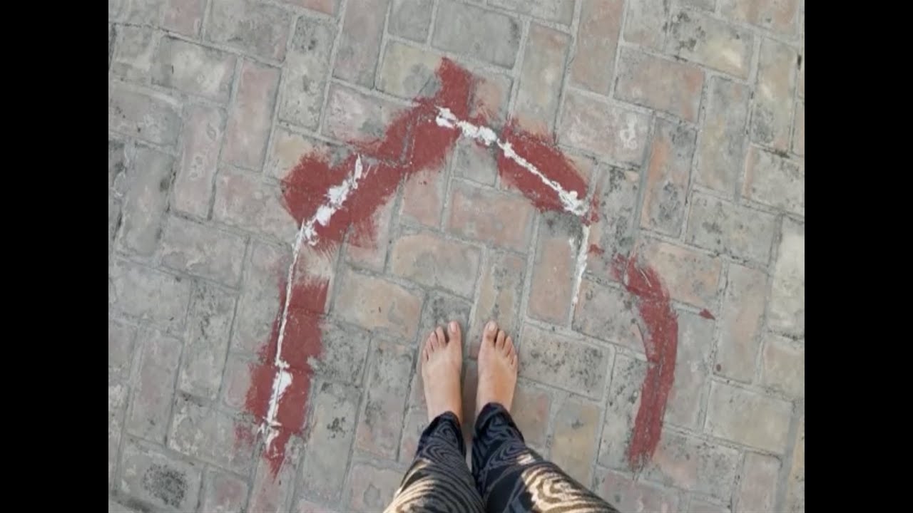 Confined Artists - Adriana Cerecero - Confinamiento en la Azotea 2020