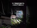 エロビデオ屋さん➀ ライブ配信切り抜きでも