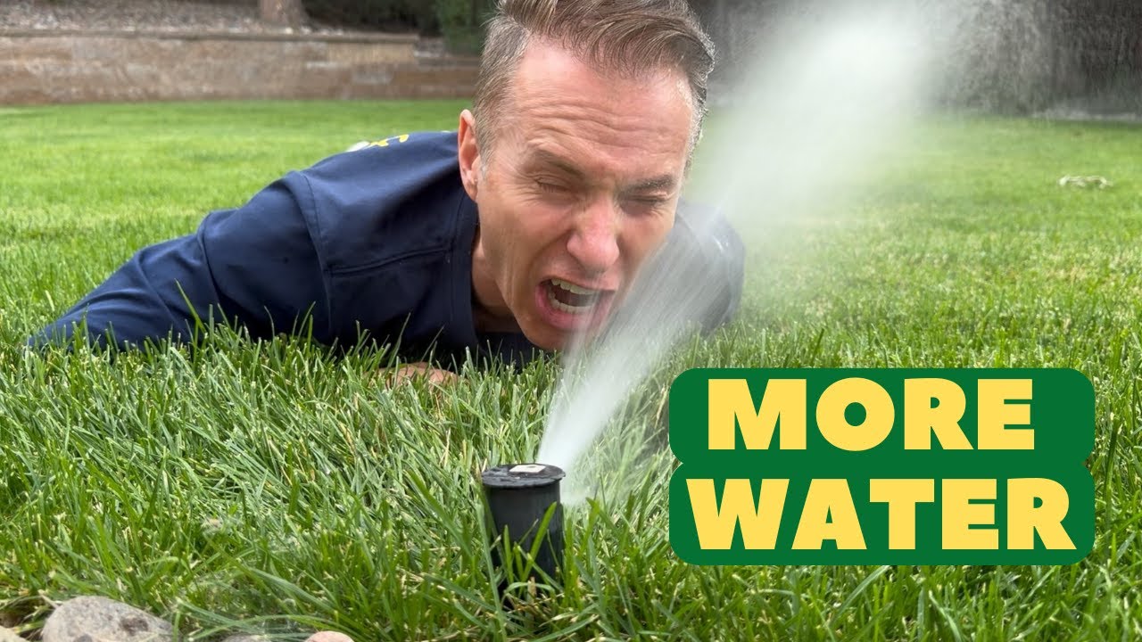 Achieve a green oasis revive is the secret weapon for water retention