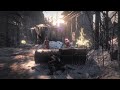 Rise of the Tomb Raider_20241202201913
