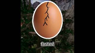 You Got A Gorilla Egg