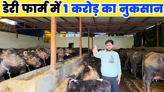 Dairy Farming में 70 लाख का नुकसान! फिर भी क्यों नहीं बंद किया डेरी फार्म? | Real Dairy Farm Story