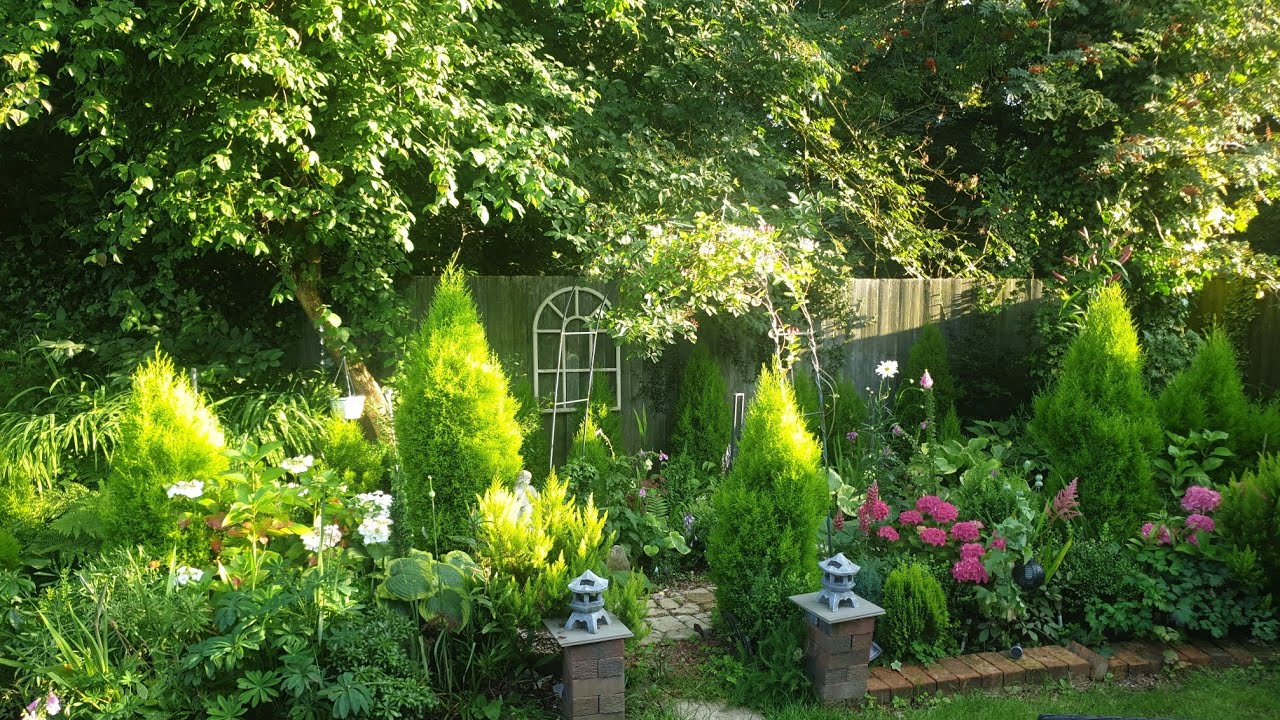 Mid-July back garden tour