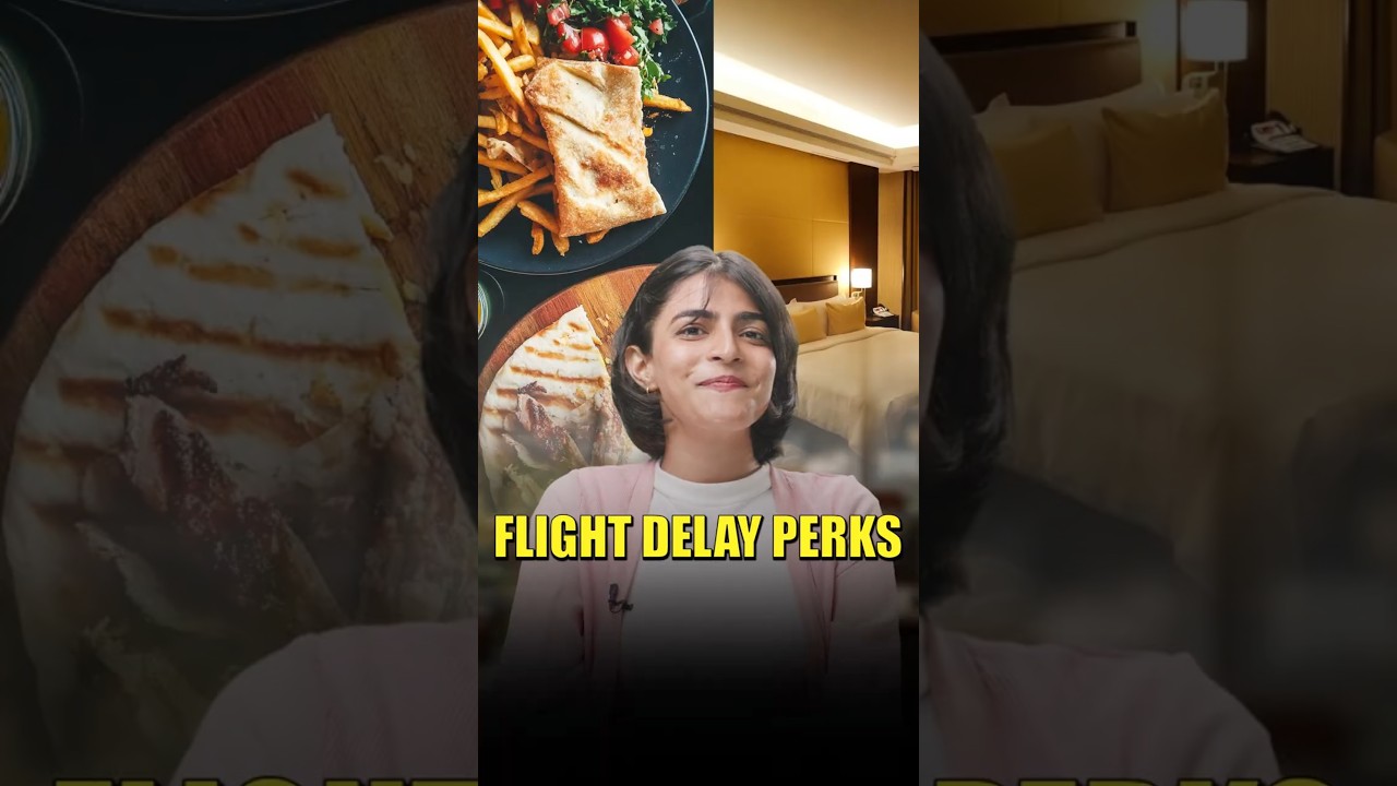 Flight delay perks that you should definitely know!! #shorts #finance
