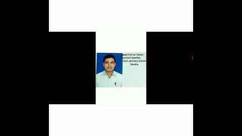 The Squirrel with a Long Tail ( My story is said ! ) Class 4 ENGLISH by Papan Kumar Swain.