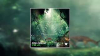 Jared Moreno - Wild Life (Original Mix)