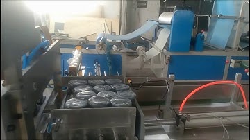 Plastic Garbage Bag Roll Packing Machine