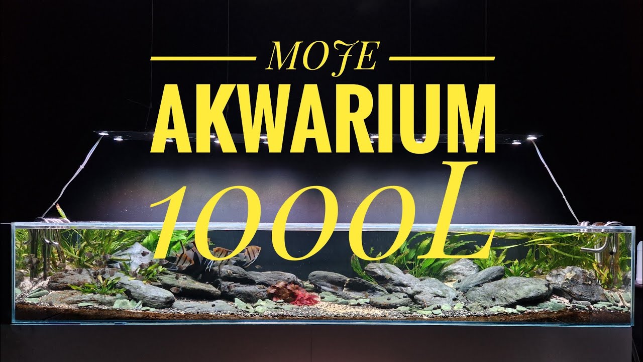 DUŻE AKWARIUM 1000L I POMYSŁY NA ZMIANY
