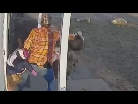 Mom throws raccoon attacking her young daughter