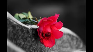 Wrongful Death and Probate