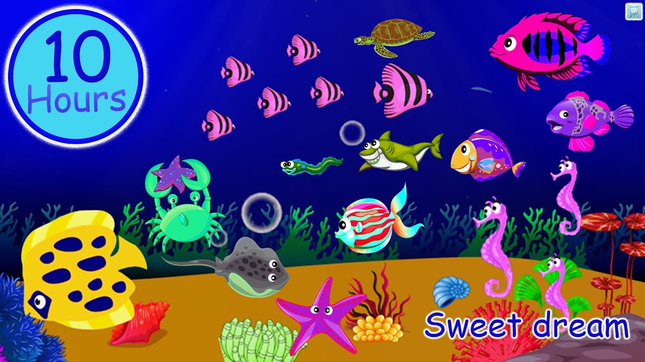 Little see dreams Bedtime Lullabies with Gentle Ocean Animation