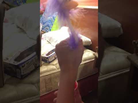 camera iphone 8 plus apk Some bird farts :)