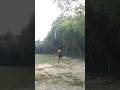 #javelinthrow #newshortsvideo #trendingshorts #youtubeshorts #viralshort #trendingshorts