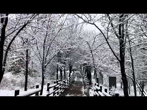 아파트 뒷산 산책 ASMR-A small hill behind common Korean APT