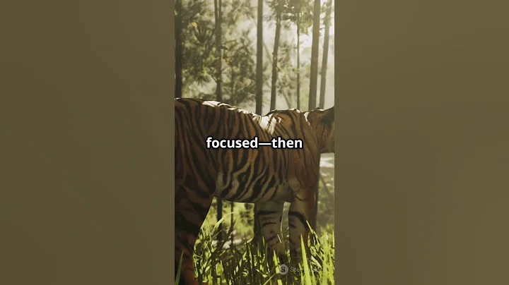 Tiger vs wild boar #tiger #wildboar #wildlife #pdwildtruth #natureshorts #animals #shorts #fyp #new