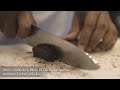 Kamaxi College of Culinary Arts Others(1) Kamaxi College of Culinary Arts Others(1)