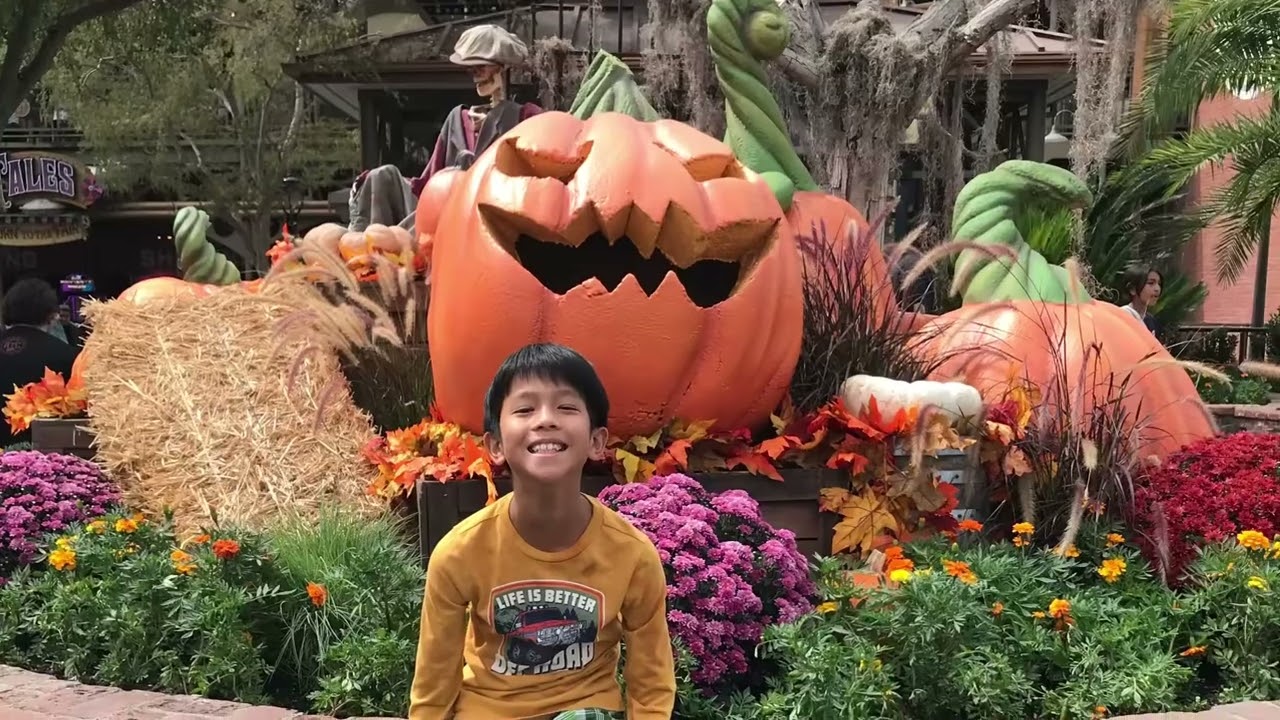 Knot berry farm (09/2024)