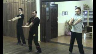 Oktay Sünbül Siu Nim Tao.wmv