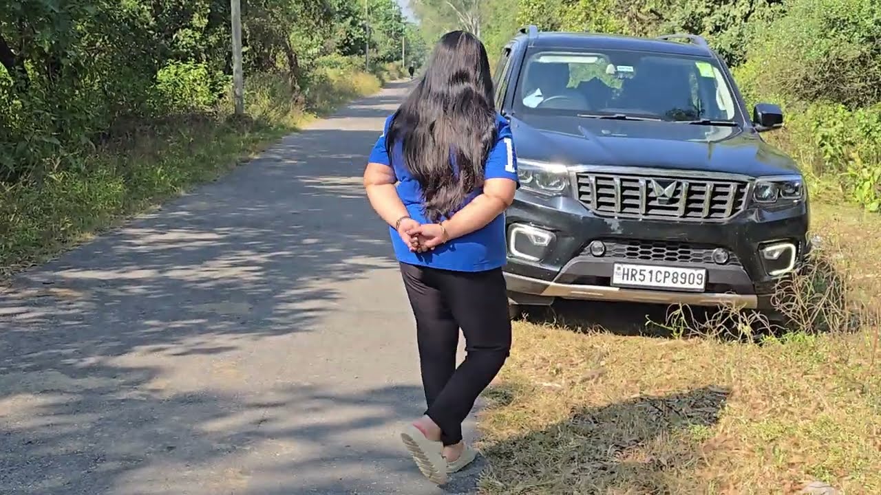 खतरनाक - सर्वश्रेष्ठ जंगलों में- जंगली हाथी के इलाके में Night Drive 