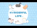 IKINARI TELL ME - Nyanderful Life - Color Lyrics