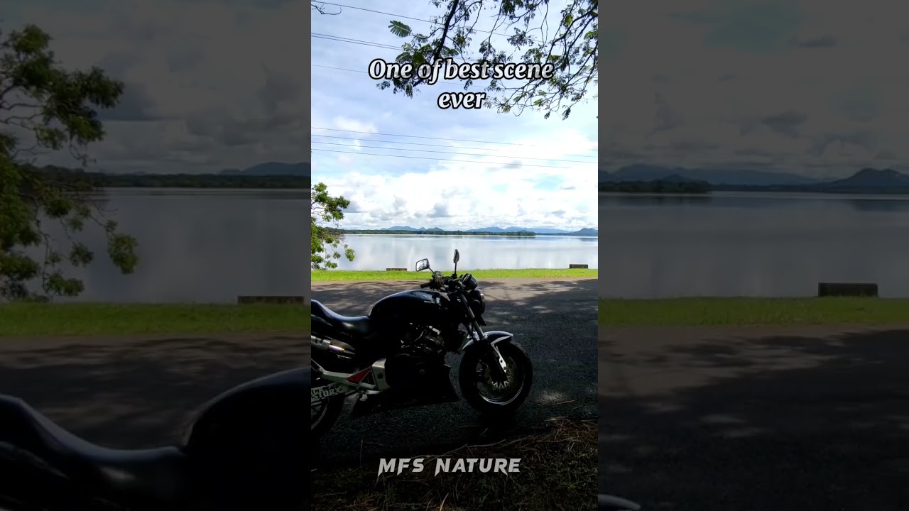 The Nature View 💢❤️  