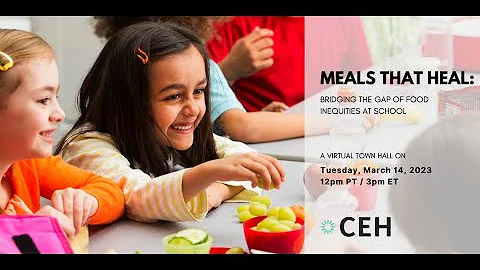 Meals that Heal: Bridging the Gap of Food Inequiti...