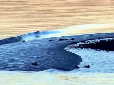 Manfred Pechtl - Denk immer an dich
