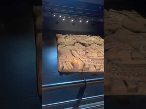 The Aztec artifacts