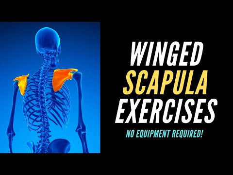 The 3 BEST Exercises for Winged Scapula (NO EQUIPMENT REQUIRED!)