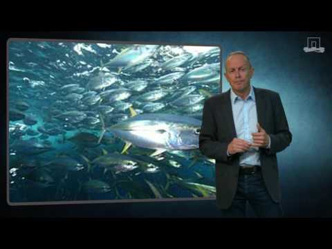 Can states control production and trade in global tuna value chains?