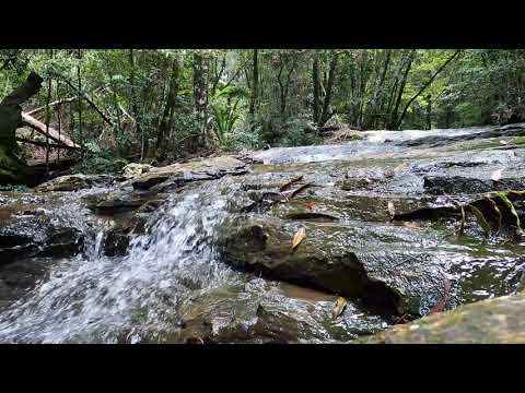 Waterfall Loop