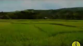 Lagu Kerinci; PANTUN BUIBO VOC IIN MD
