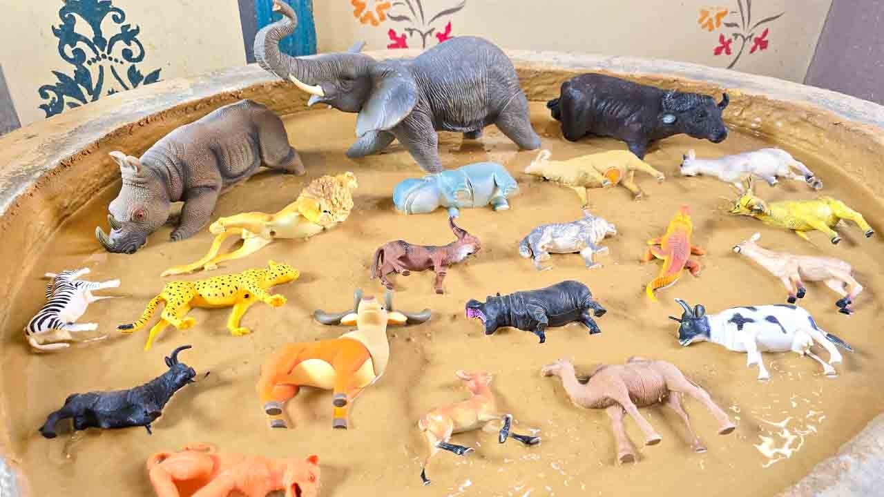 Exploring the Quiet Journey of Hoofed Animals and Hibernating Species!