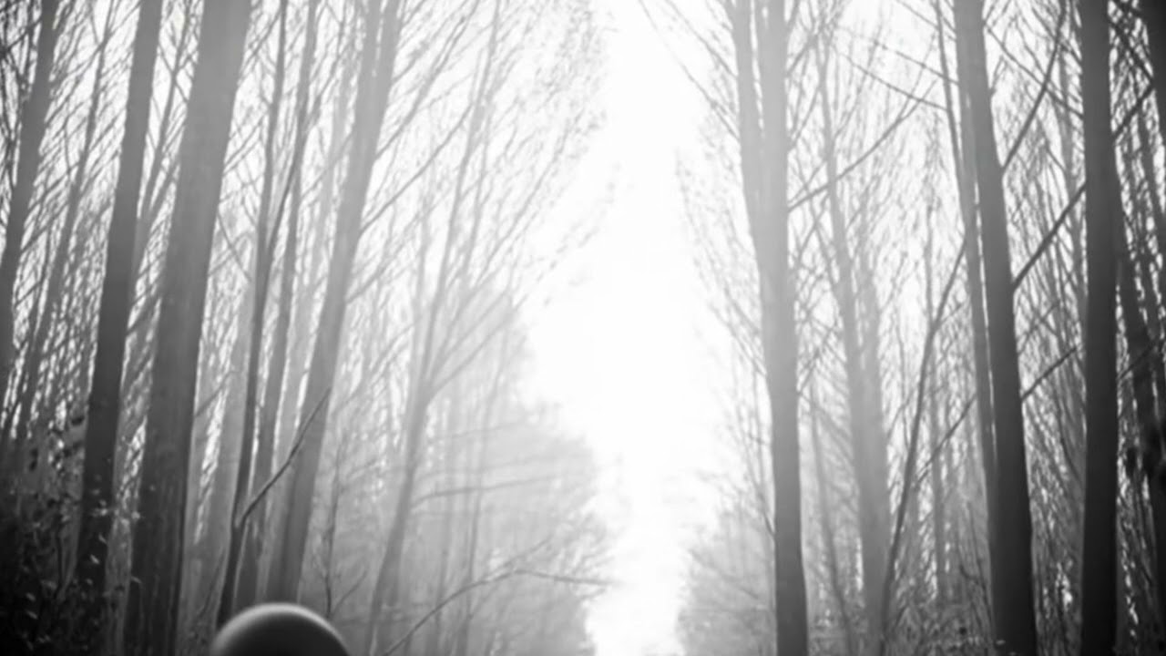 Historia real: EL NOVIO QUE APARECIÓ MUERTO — Ramón Herrera (1855, Tlaxcala)