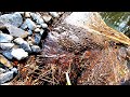 Tearing Out 5 Beaver Dams At The Culvert! Part 1! This Didn't End Well!!