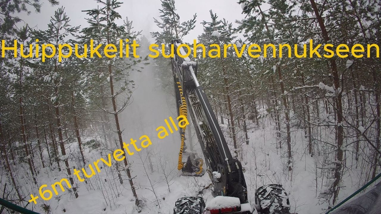 Pientä männikköä suolla Prosilva S3 & Kesla 19