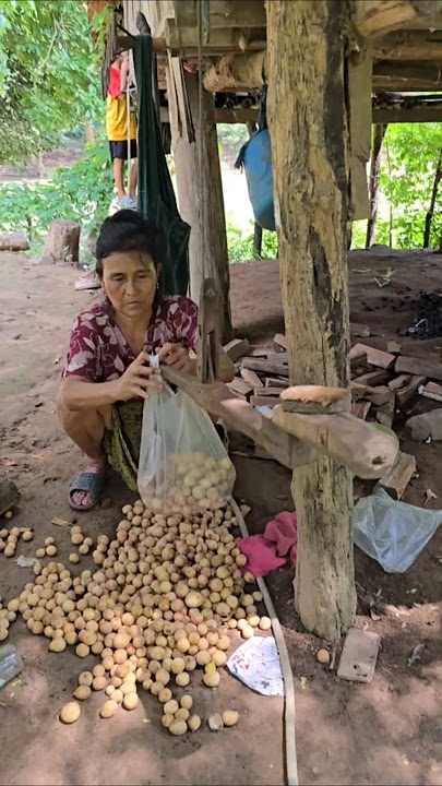 Village woman selling langsat fruit