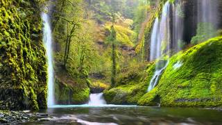 Peter Lik - Behind the Scenes - Pacific Northwest