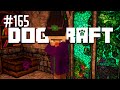The Witch | Dogcraft (Ep.165)