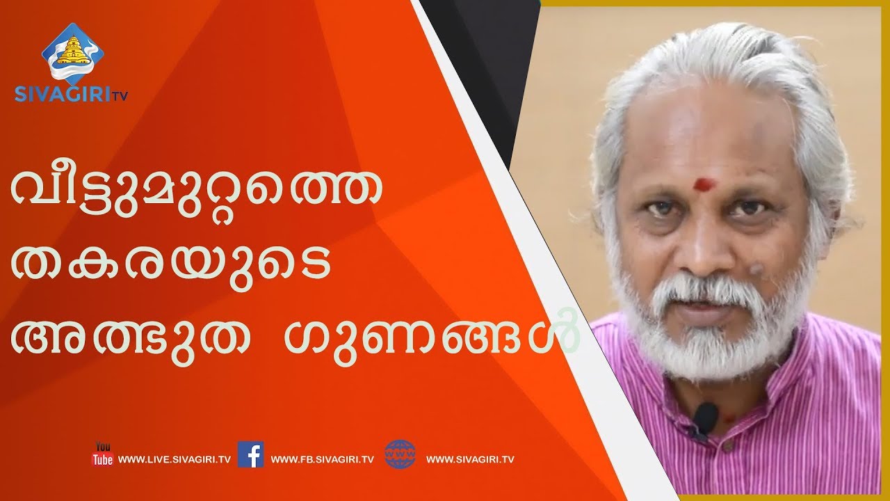 Nattuvaidyam | Natural Cure - K T Sivanandhan Vaidyar - EP-25 - YouTube