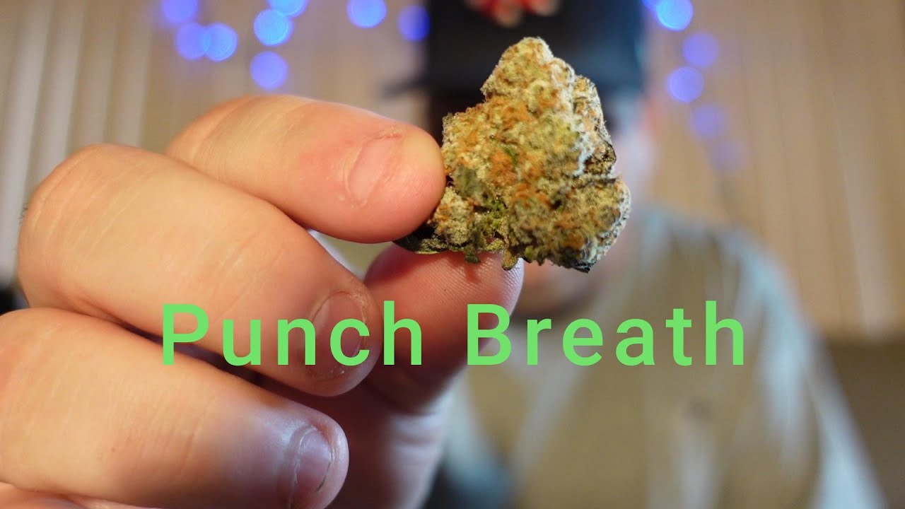Punch Breath Strain