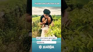 Eat Fried Foods Direct From Nature shorts