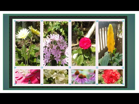 our-simple-backyard-small-flower-garden