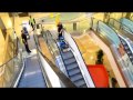 Duplex Professional Escalator Cleaning