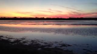 Fenicotteri Al Tramonto