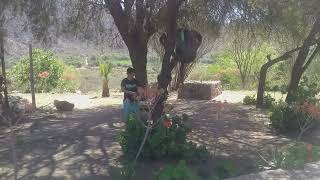 "Astica", Valle Fértil, San Juan