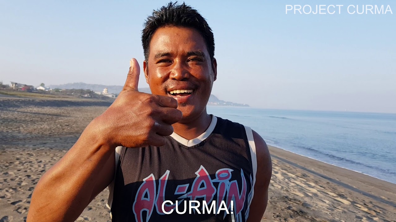 Criticaly endangered turtle saved in La Union during covid