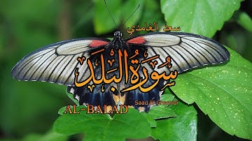90 - سورة البلد - سعد الغامدي - Sourate AL-BALAD - Saad El Ghamidi