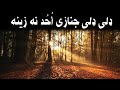 پښتو نعت ډلی ډلی جنازي أ ح د نه زینه Pashto Tarani پښتو تراني 